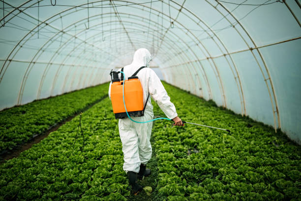 Best Best Pest Control Companies  in Winfield, WV