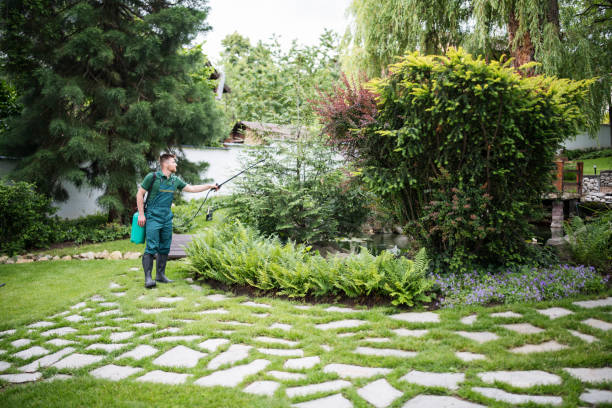 Best Affordable Pest Control Services  in Winfield, WV