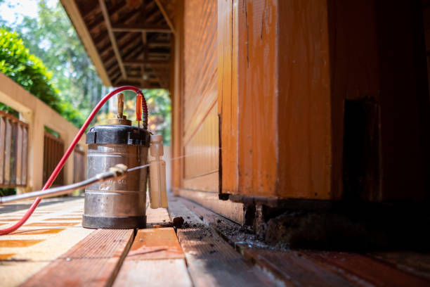 Best Termite Control Services  in Winfield, WV
